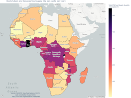 RTB consumption across the sub-Saharan Africa tropical belt @D.Dufour