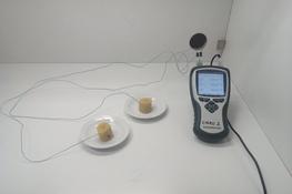 Temperature monitoring of boiled plantain pieces ©A.Kouassi