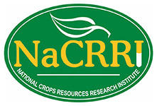 NaCCRI logo